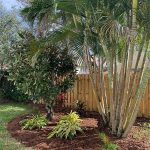 Landscaping Consultation