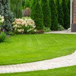 Landscape Design