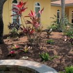 Front Yard Landscaping