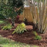 Landscaping Consultation