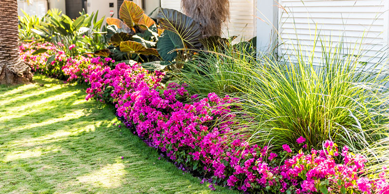 4 Simple Landscape Design Ideas for Small Yards