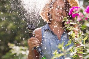 Easy Tips for Designing Low-Maintenance Landscaping