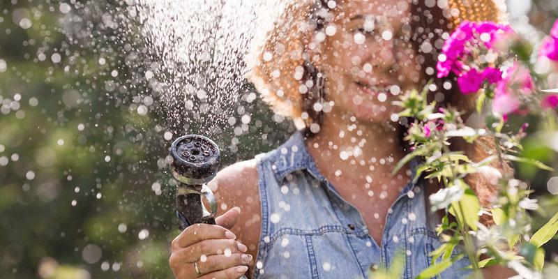 Easy Tips for Designing Low-Maintenance Landscaping 