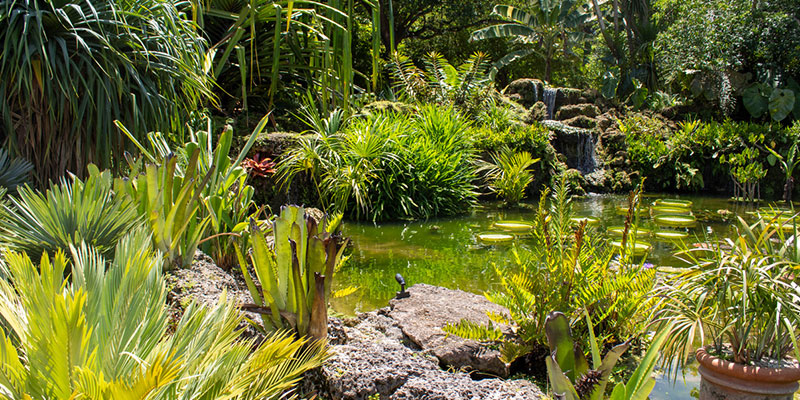 The Benefits of Adding Native Plants to Your Landscaping Plan