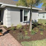 Backyard Landscaping