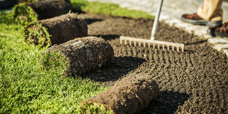 Key Qualities to Look for in a Landscaping Contractor