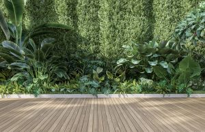 How We Create Low-Maintenance Landscaping Projects