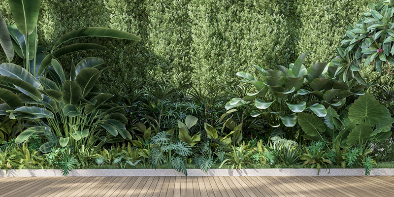 How We Create Low-Maintenance Landscaping Projects