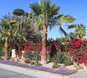 What are Xeriscape Gardens?