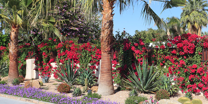 What are Xeriscape Gardens?