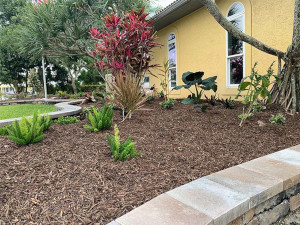 Low-Maintenance Landscaping in Vero Beach, Florida