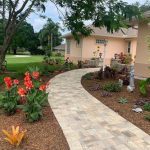 Xeriscaping