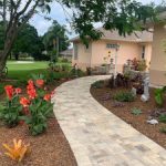 Xeriscaping