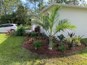 Landscape Installation in Vero Beach, Florida