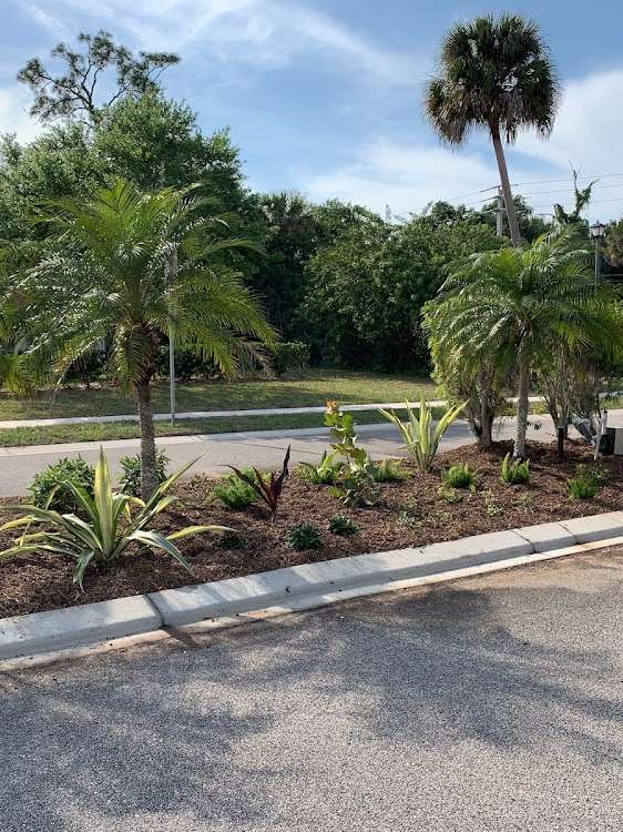 Horticultural Consultation in Vero Beach, Florida