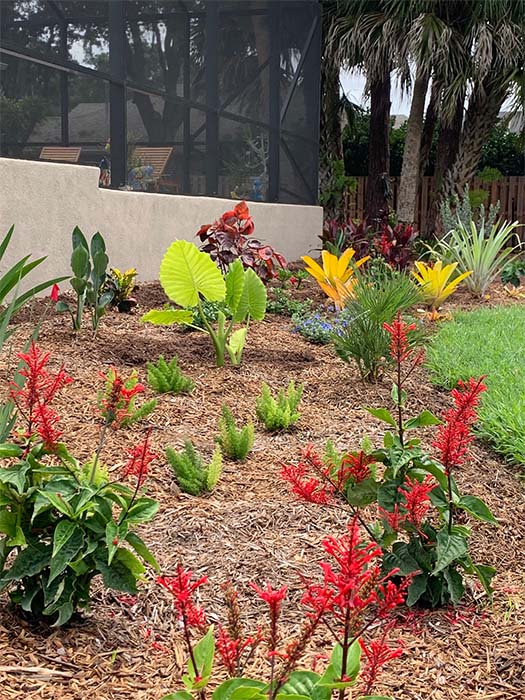 Garden Design in Vero Beach, Florida