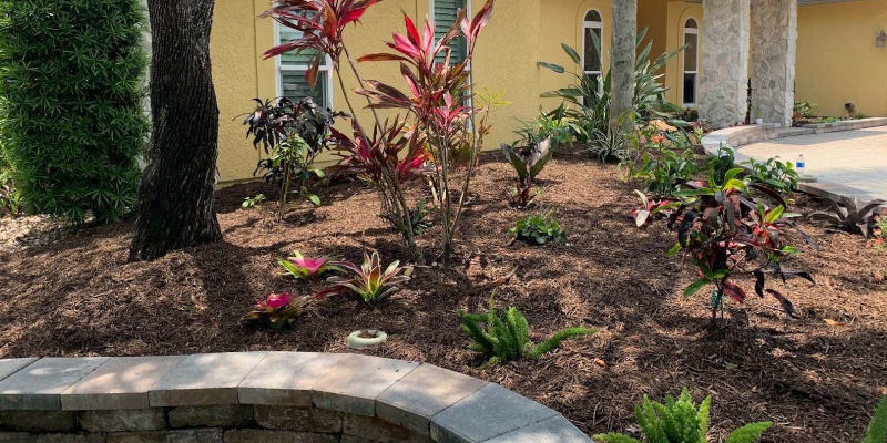 Florida-Friendly Landscapes Designed to Thrive in Today’s Climate